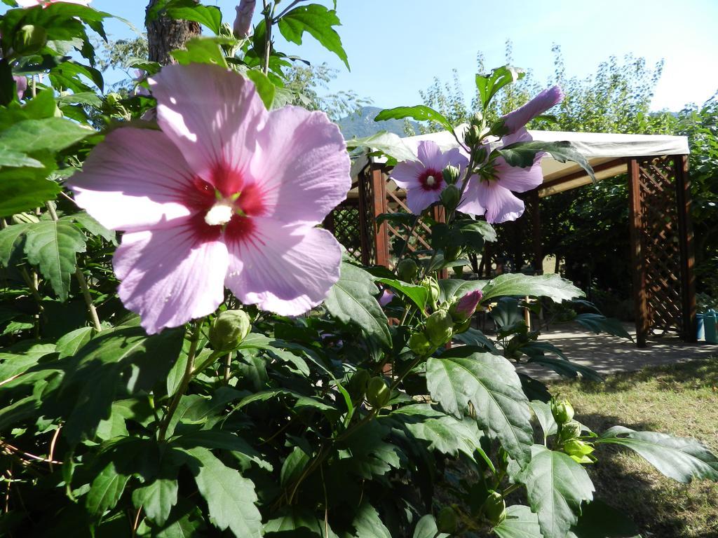 B&B Villa Maria แตร์นี ภายนอก รูปภาพ